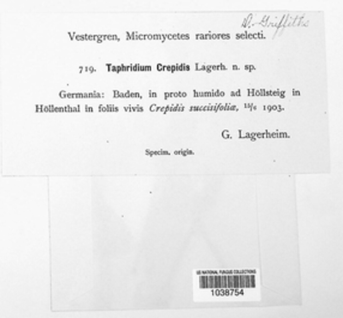 Volkartia image